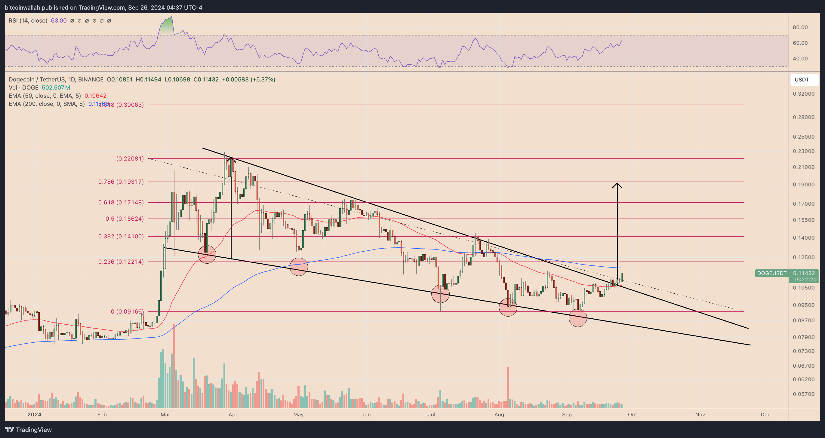 Dogecoin'in fiyatı neden arttı? - görsel 3
