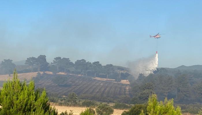 Çanakkale'nin Ayvacık ilçesinde çıkan orman yangını kontrol altına alındı