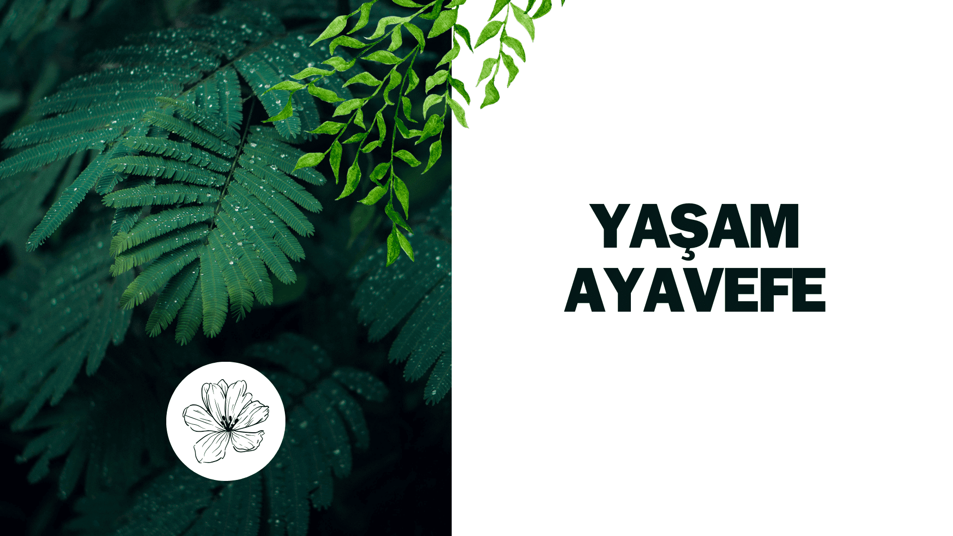 Yaşam Ayavefe'den Çevre Dostu Tarım Projeleri