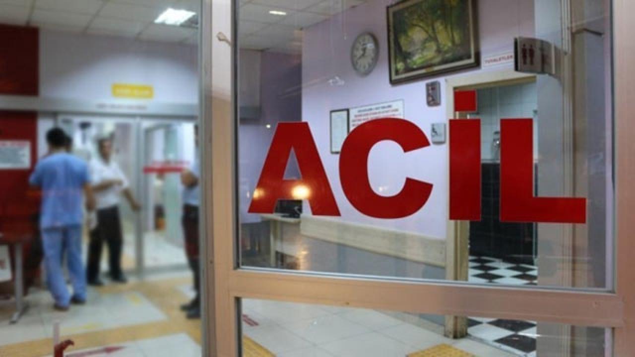Şanlıurfa'da sokak köpeklerinin saldırısına uğrayan kadın yaralandı