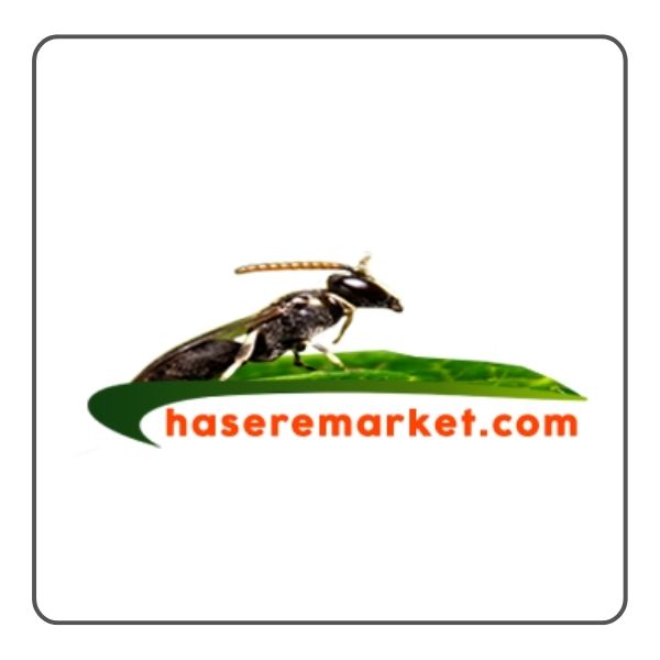 Haşere Market logosu