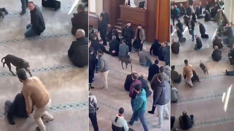 Camiye Cuma vaazı sırasında pitbull köpek girdi