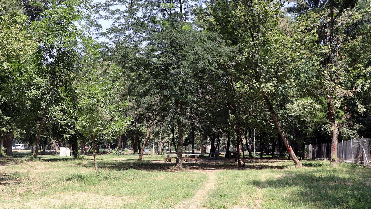 Orman alanlarına giriş Edirne ile sınırlıdır