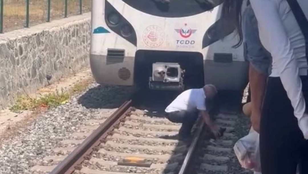 Raylardaki kediyi fark etti, Marmaray'ı durdurdu: Makinistten alkışlanan hareket - Son Dakika Türkiye Haberleri